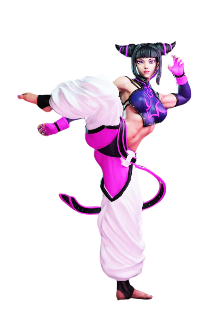 JurI Han (Street Fighter) 3D Figure